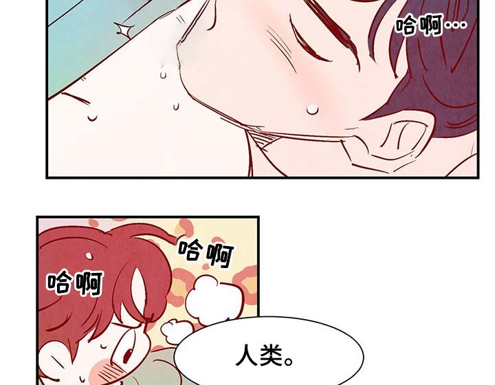 《寻鳞之旅》漫画最新章节第32章：疯了免费下拉式在线观看章节第【14】张图片