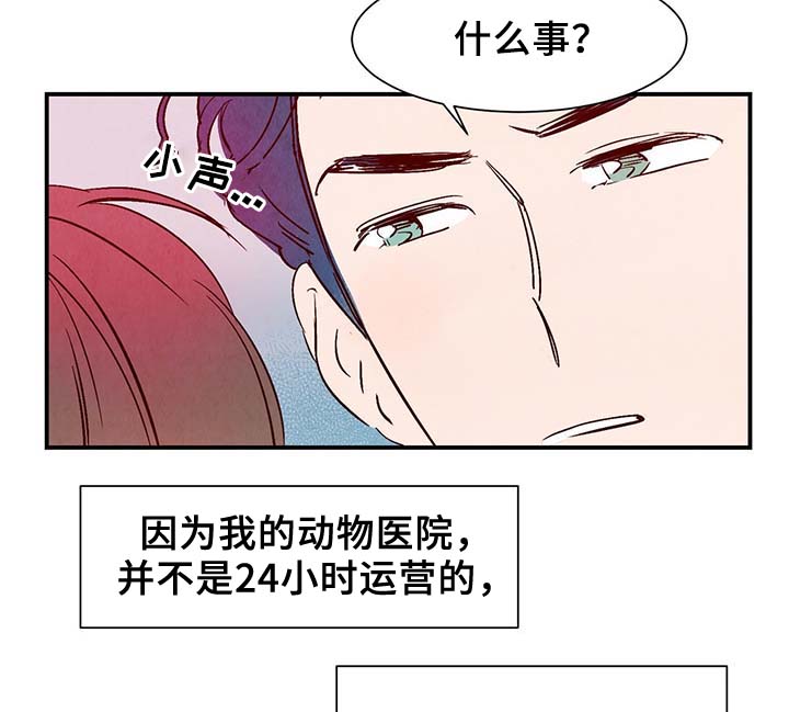 《寻鳞之旅》漫画最新章节第35章：老幺免费下拉式在线观看章节第【30】张图片