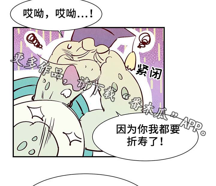 《寻鳞之旅》漫画最新章节第35章：老幺免费下拉式在线观看章节第【12】张图片