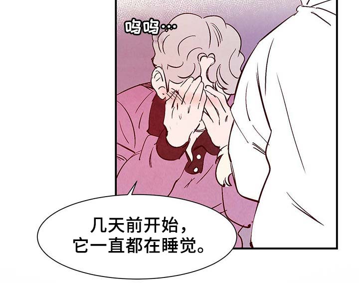 《寻鳞之旅》漫画最新章节第36章：面对死亡免费下拉式在线观看章节第【32】张图片