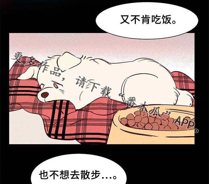 《寻鳞之旅》漫画最新章节第36章：面对死亡免费下拉式在线观看章节第【31】张图片