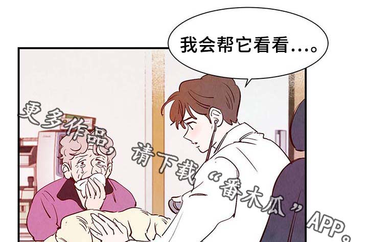 《寻鳞之旅》漫画最新章节第36章：面对死亡免费下拉式在线观看章节第【17】张图片