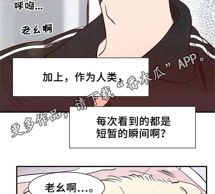 《寻鳞之旅》漫画最新章节第36章：面对死亡免费下拉式在线观看章节第【4】张图片