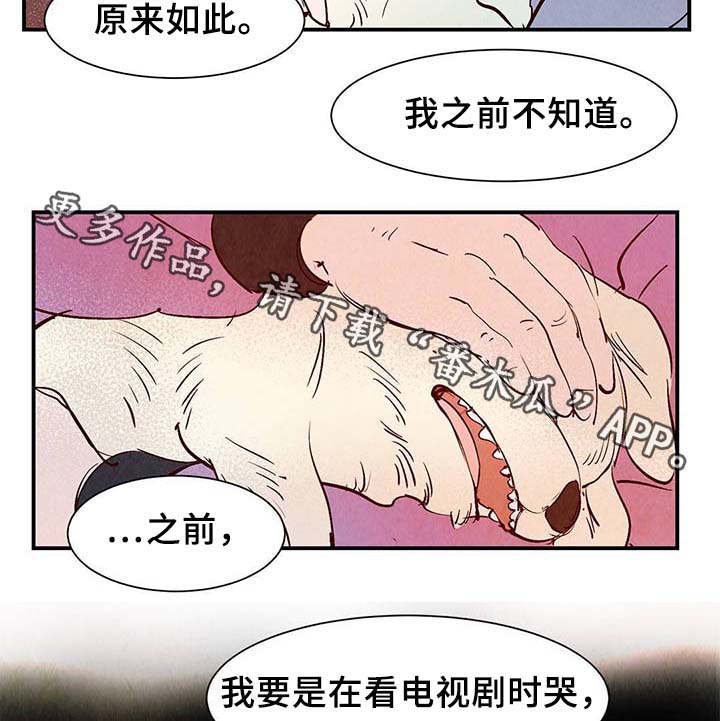 《寻鳞之旅》漫画最新章节第37章：灵魂召唤免费下拉式在线观看章节第【17】张图片