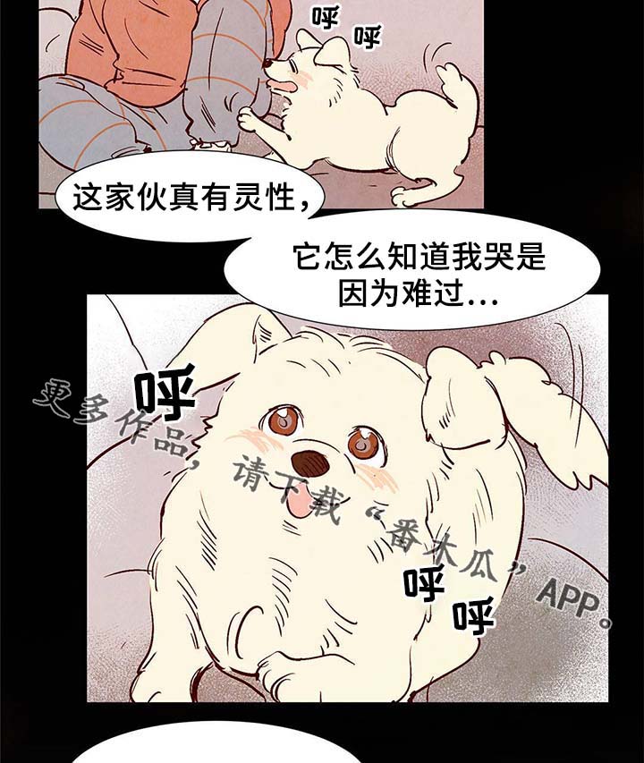 《寻鳞之旅》漫画最新章节第37章：灵魂召唤免费下拉式在线观看章节第【14】张图片