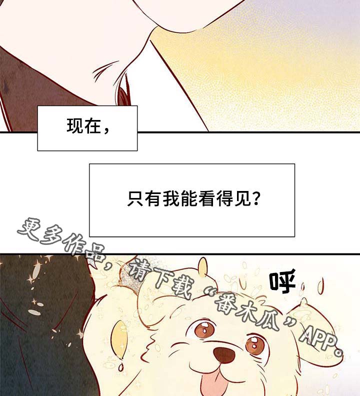 《寻鳞之旅》漫画最新章节第37章：灵魂召唤免费下拉式在线观看章节第【2】张图片