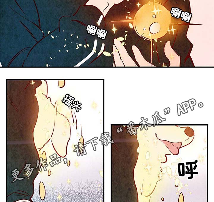 《寻鳞之旅》漫画最新章节第37章：灵魂召唤免费下拉式在线观看章节第【4】张图片