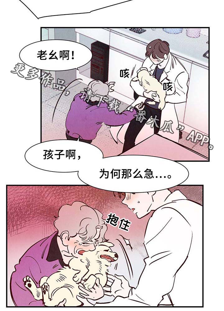 《寻鳞之旅》漫画最新章节第37章：灵魂召唤免费下拉式在线观看章节第【31】张图片