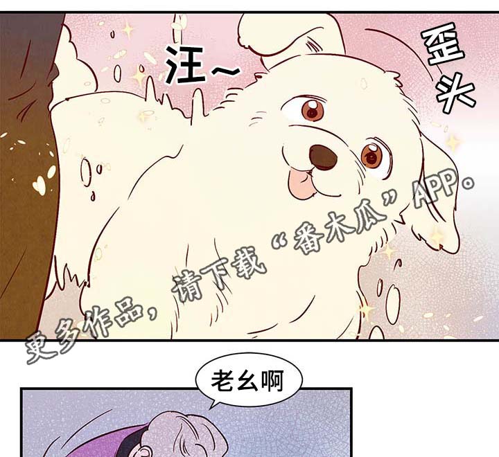 《寻鳞之旅》漫画最新章节第38章：让我见见它免费下拉式在线观看章节第【23】张图片