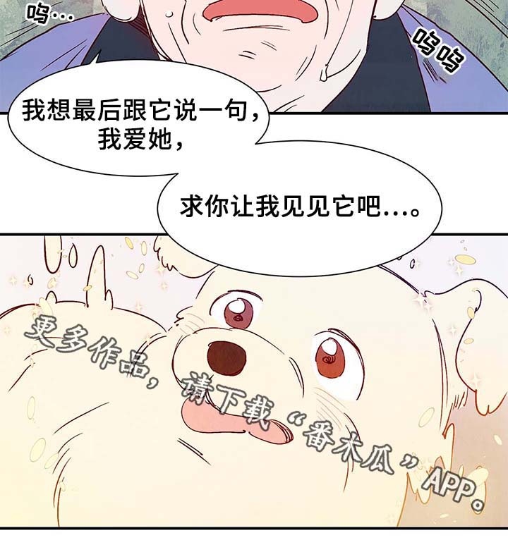 《寻鳞之旅》漫画最新章节第38章：让我见见它免费下拉式在线观看章节第【7】张图片