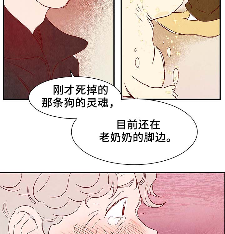 《寻鳞之旅》漫画最新章节第38章：让我见见它免费下拉式在线观看章节第【13】张图片