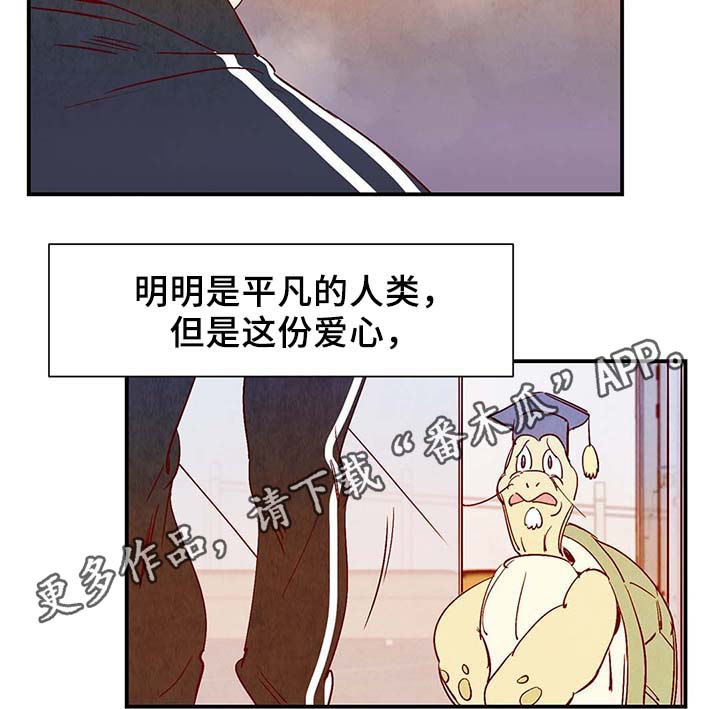 《寻鳞之旅》漫画最新章节第39章：上路免费下拉式在线观看章节第【19】张图片