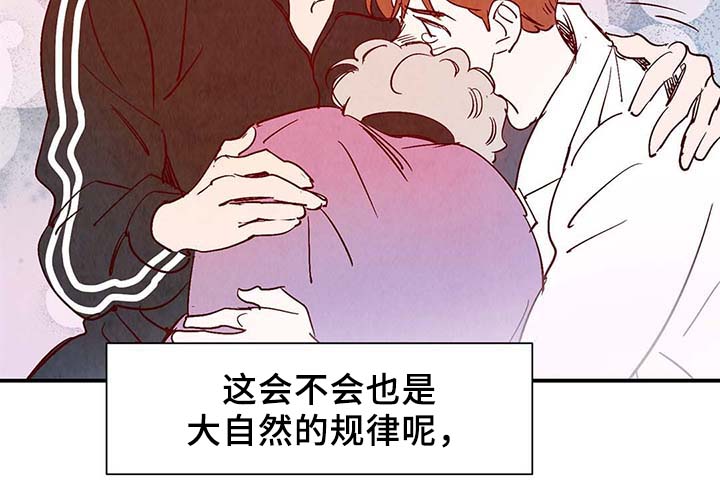 《寻鳞之旅》漫画最新章节第39章：上路免费下拉式在线观看章节第【17】张图片