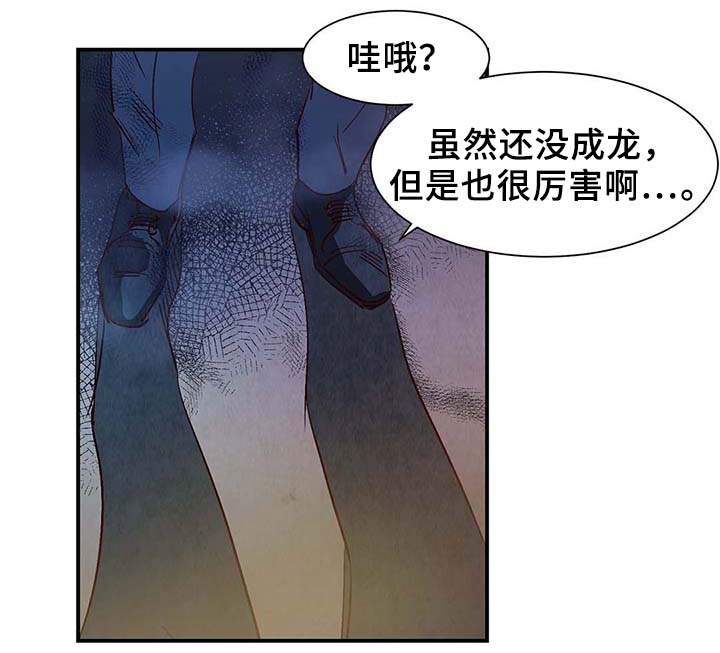 《寻鳞之旅》漫画最新章节第39章：上路免费下拉式在线观看章节第【11】张图片