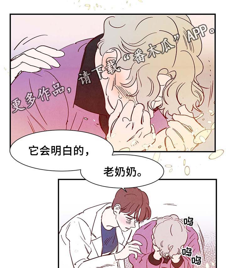 《寻鳞之旅》漫画最新章节第39章：上路免费下拉式在线观看章节第【22】张图片