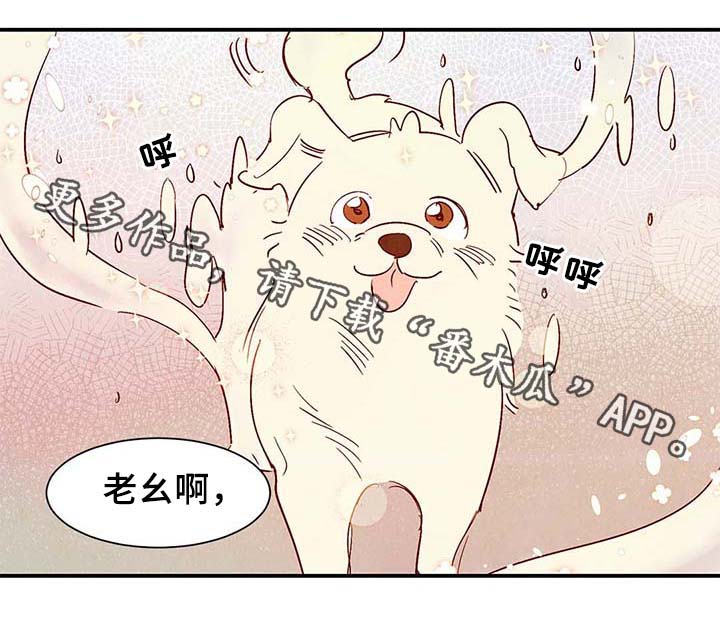 《寻鳞之旅》漫画最新章节第39章：上路免费下拉式在线观看章节第【28】张图片