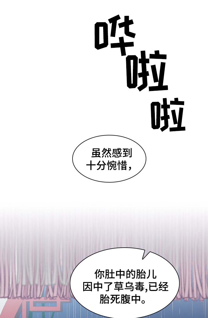 《皇妃驾临》漫画最新章节第29章：胎死腹中免费下拉式在线观看章节第【14】张图片