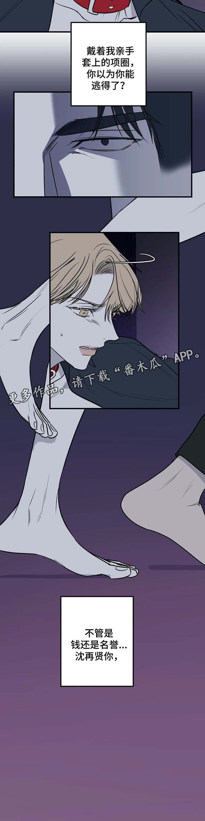 《演奏者》漫画最新章节第36章：都是因为爱免费下拉式在线观看章节第【10】张图片