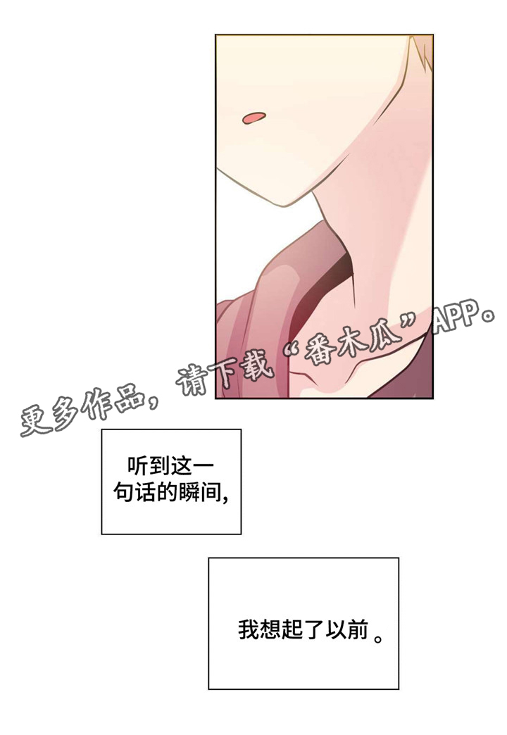 《皇族封印》漫画最新章节第25章：抓捕经过免费下拉式在线观看章节第【2】张图片