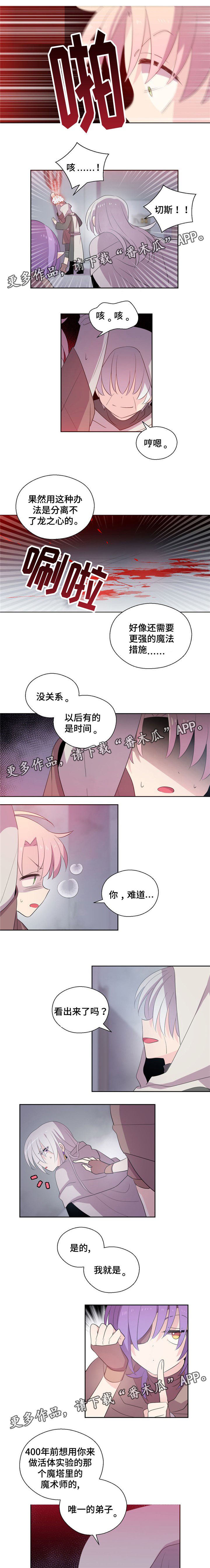 《皇族封印》漫画最新章节第44章：实验免费下拉式在线观看章节第【5】张图片