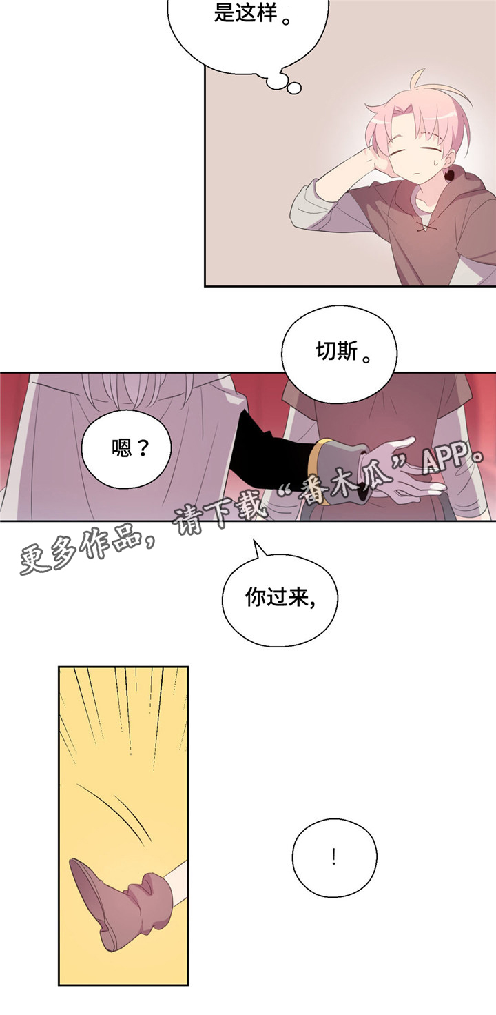 《皇族封印》漫画最新章节第53章：是精灵免费下拉式在线观看章节第【9】张图片