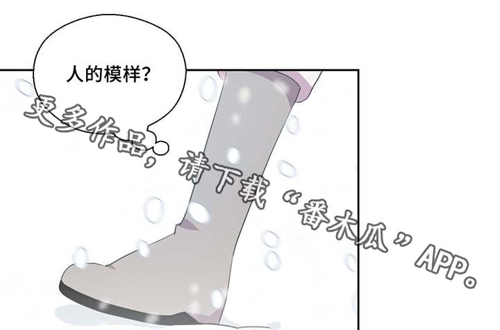 《皇族封印》漫画最新章节第81章：那条龙免费下拉式在线观看章节第【5】张图片