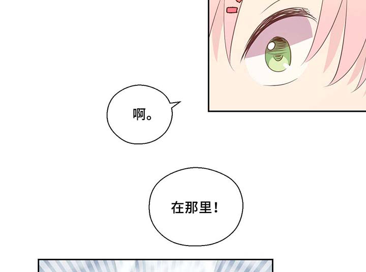 《皇族封印》漫画最新章节第81章：那条龙免费下拉式在线观看章节第【17】张图片