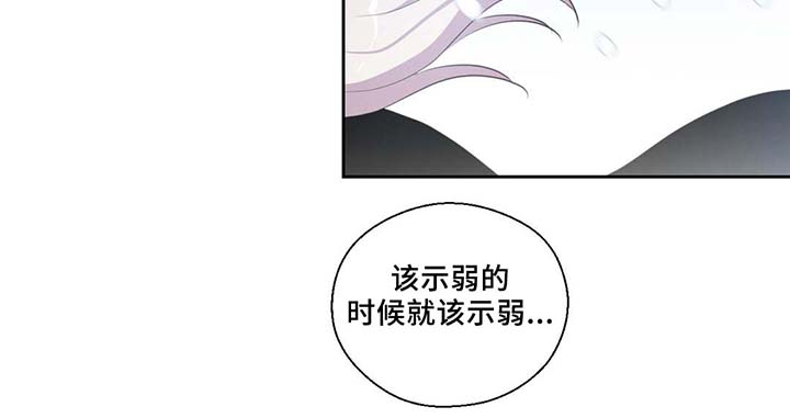 《皇族封印》漫画最新章节第81章：那条龙免费下拉式在线观看章节第【28】张图片