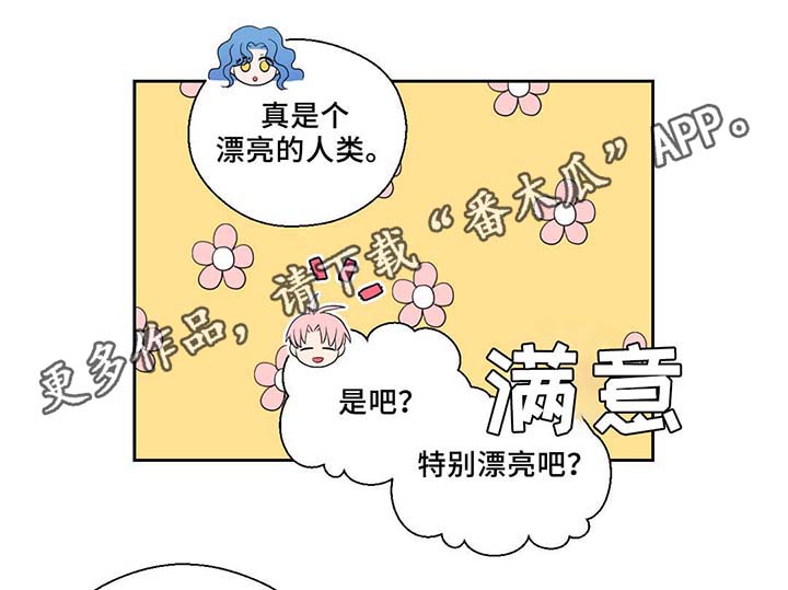 《皇族封印》漫画最新章节第82章：沉睡500年免费下拉式在线观看章节第【3】张图片