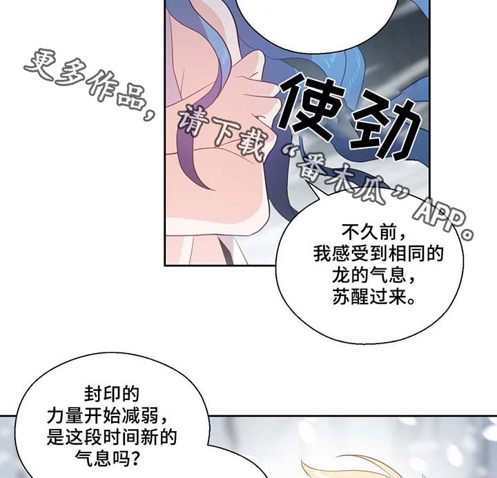 《皇族封印》漫画最新章节第82章：沉睡500年免费下拉式在线观看章节第【19】张图片