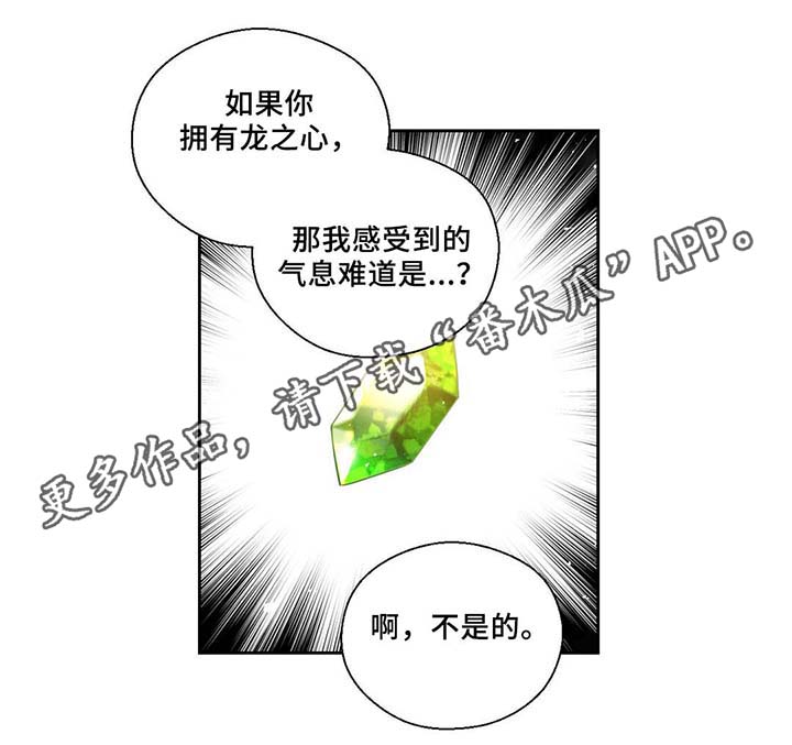 《皇族封印》漫画最新章节第82章：沉睡500年免费下拉式在线观看章节第【17】张图片