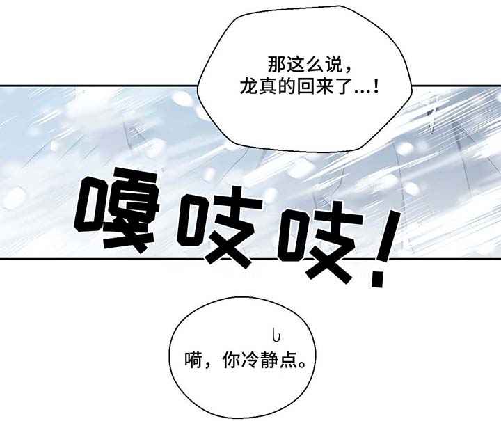 《皇族封印》漫画最新章节第82章：沉睡500年免费下拉式在线观看章节第【15】张图片