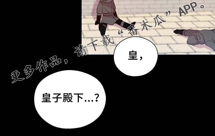 《皇族封印》漫画最新章节第90章：结束一切免费下拉式在线观看章节第【19】张图片