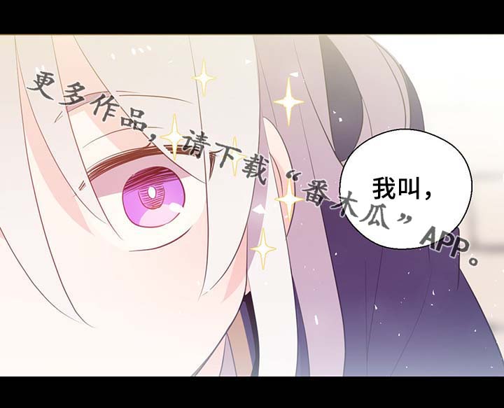 《皇族封印》漫画最新章节第90章：结束一切免费下拉式在线观看章节第【33】张图片