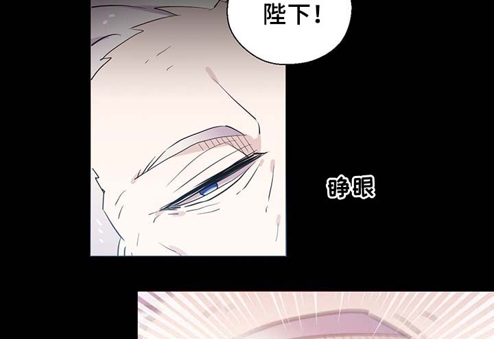 《皇族封印》漫画最新章节第91章：皇家记录免费下拉式在线观看章节第【24】张图片