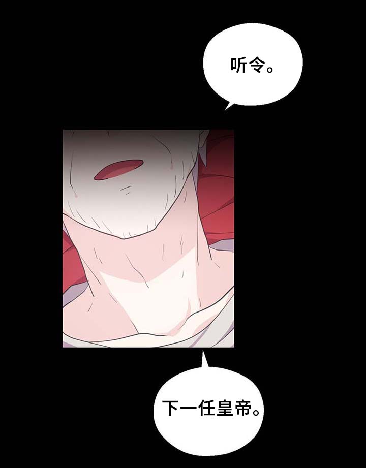 《皇族封印》漫画最新章节第91章：皇家记录免费下拉式在线观看章节第【12】张图片