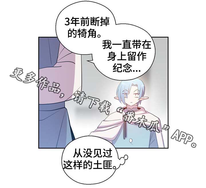 《皇族封印》漫画最新章节第97章：亲自去查看免费下拉式在线观看章节第【22】张图片