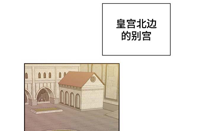 皇族封印-第100章：边界全彩韩漫标签