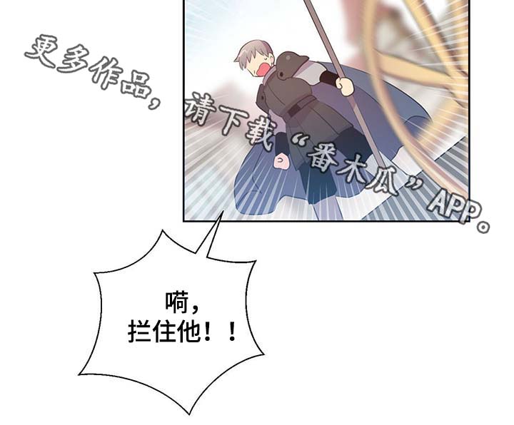 《皇族封印》漫画最新章节第103章：陛下跑了免费下拉式在线观看章节第【29】张图片