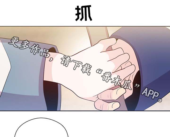 《皇族封印》漫画最新章节第106章：重设结界免费下拉式在线观看章节第【6】张图片