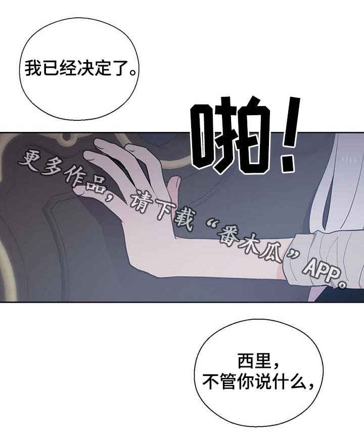 《皇族封印》漫画最新章节第111章：是什么理由免费下拉式在线观看章节第【10】张图片