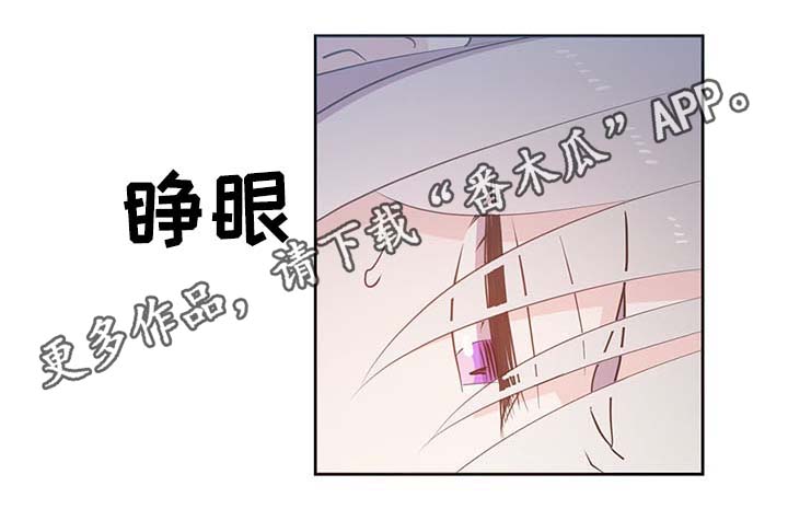 《皇族封印》漫画最新章节第111章：是什么理由免费下拉式在线观看章节第【24】张图片