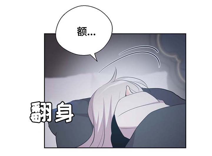 《皇族封印》漫画最新章节第111章：是什么理由免费下拉式在线观看章节第【27】张图片