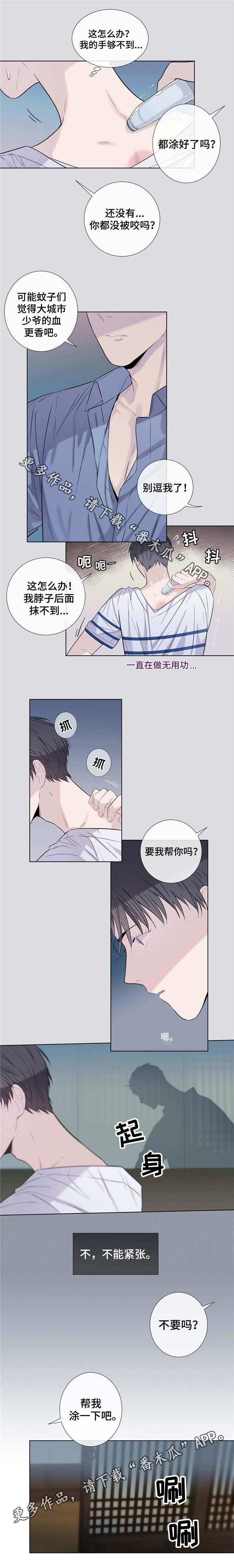 《田园一夏》漫画最新章节第19章：毒蚊子免费下拉式在线观看章节第【3】张图片