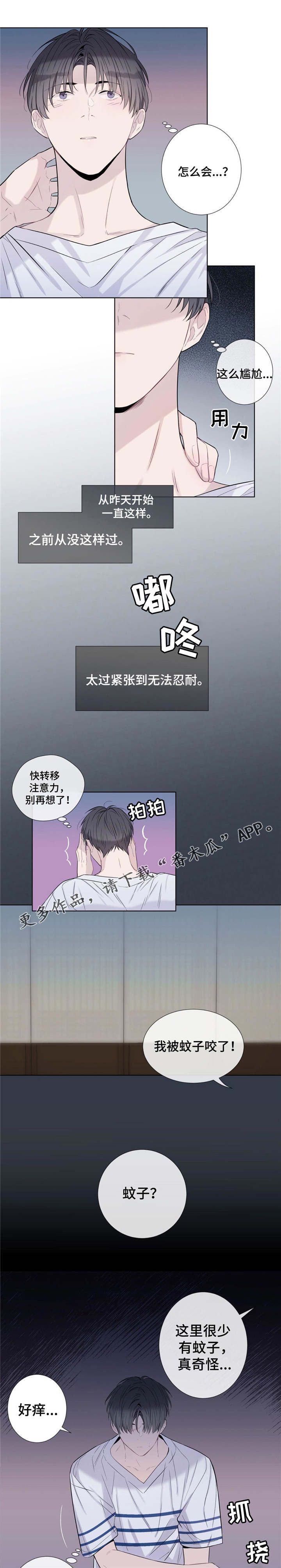 《田园一夏》漫画最新章节第19章：毒蚊子免费下拉式在线观看章节第【6】张图片