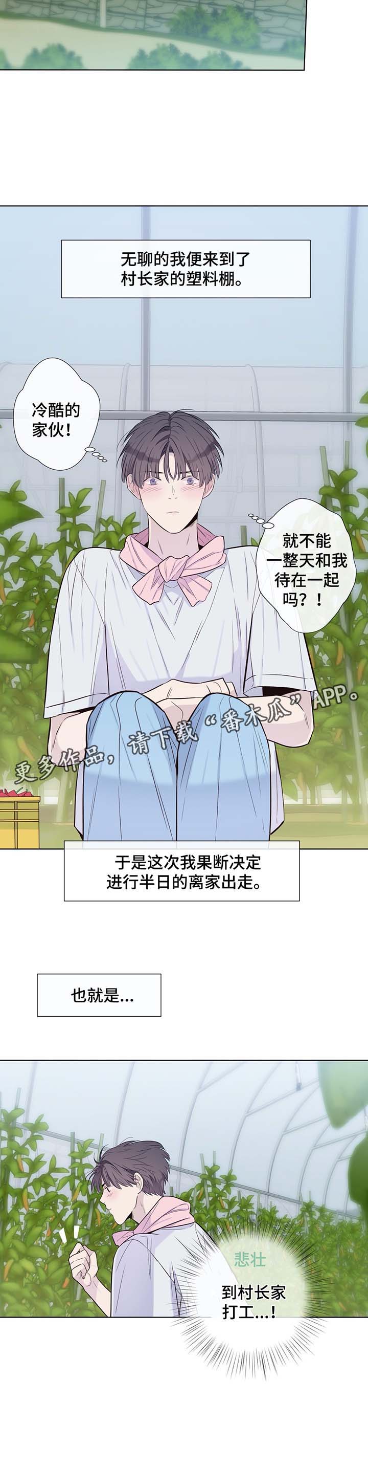 《田园一夏》漫画最新章节第31章：收获辣椒免费下拉式在线观看章节第【10】张图片