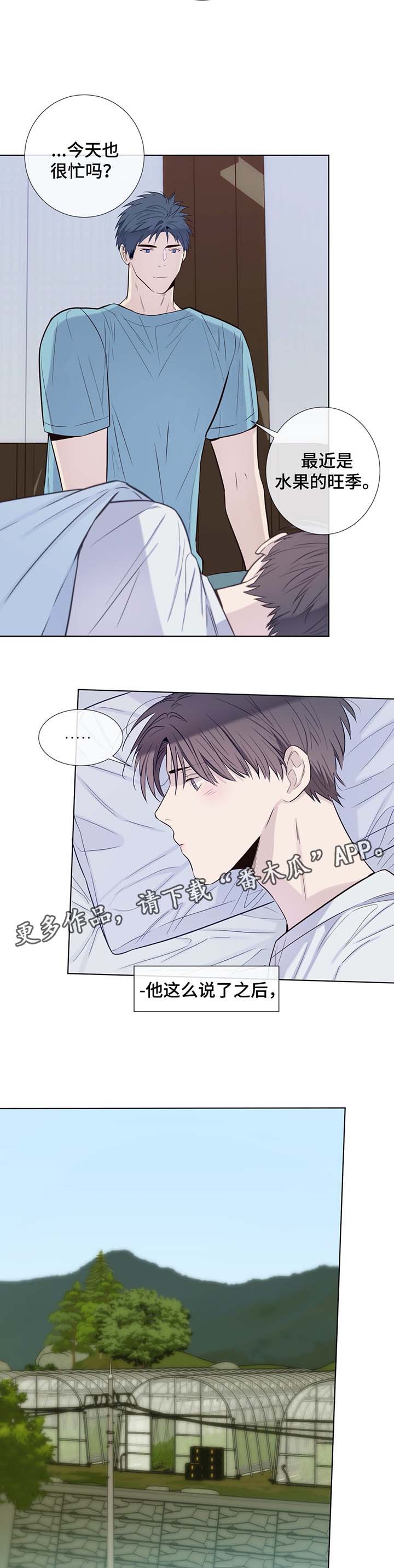 《田园一夏》漫画最新章节第31章：收获辣椒免费下拉式在线观看章节第【11】张图片