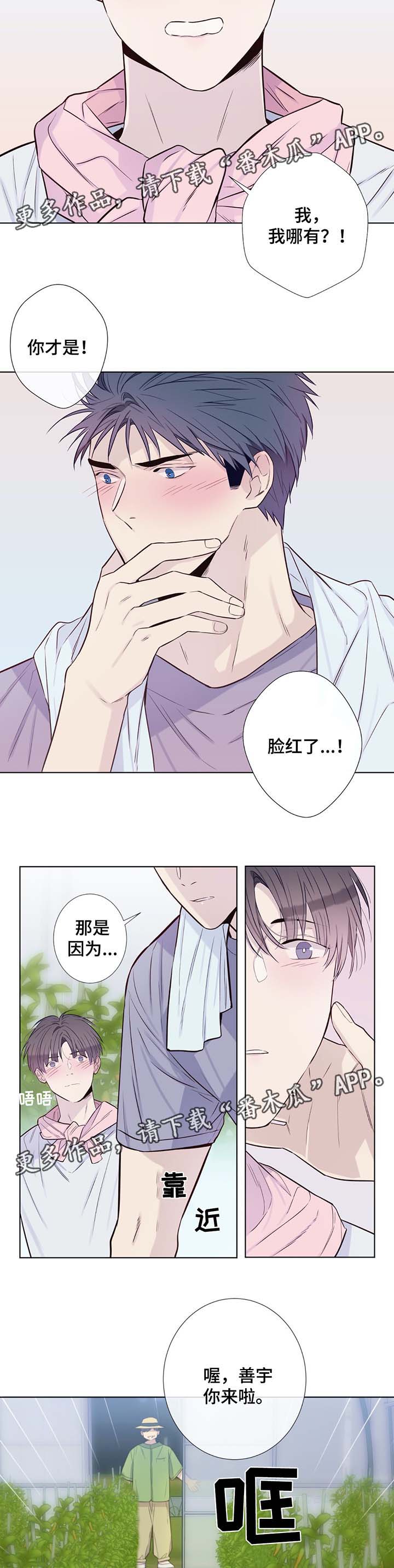 《田园一夏》漫画最新章节第31章：收获辣椒免费下拉式在线观看章节第【2】张图片