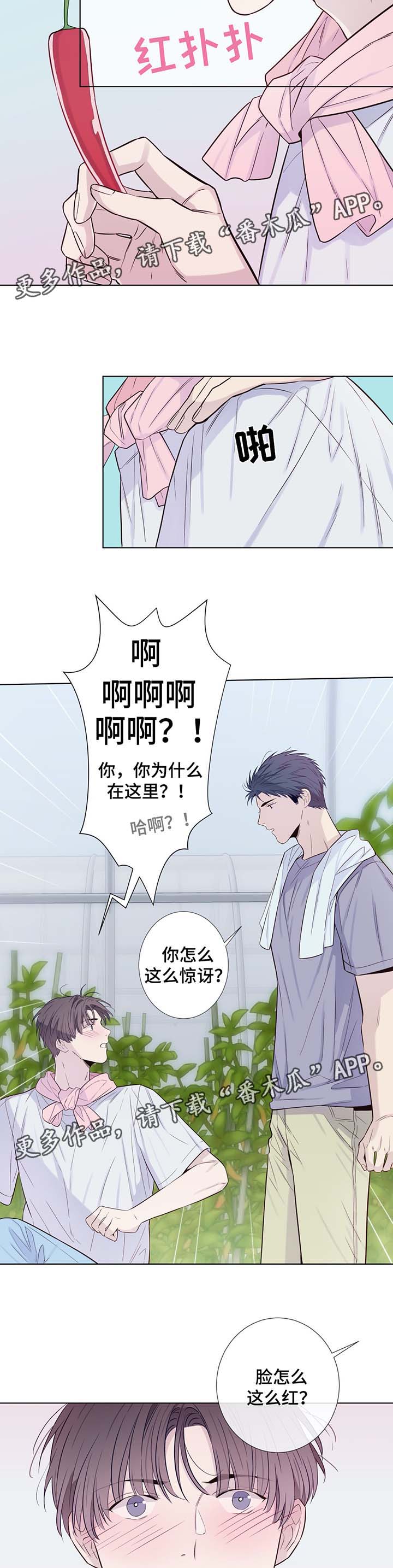 《田园一夏》漫画最新章节第31章：收获辣椒免费下拉式在线观看章节第【3】张图片