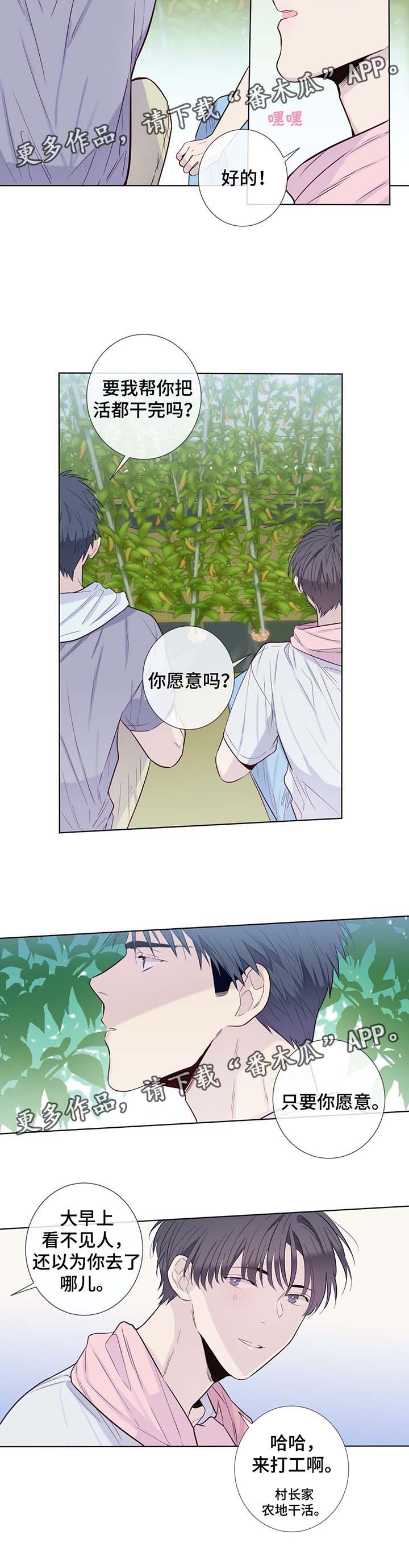 《田园一夏》漫画最新章节第32章：晕倒免费下拉式在线观看章节第【7】张图片